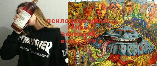 apvp Алексеевка
