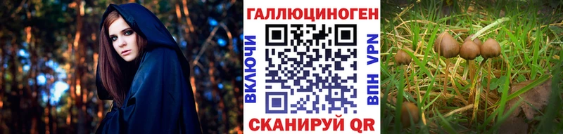 где найти наркотики  KRAKEN зеркало  Галлюциногенные грибы Magic Shrooms  Амурск 